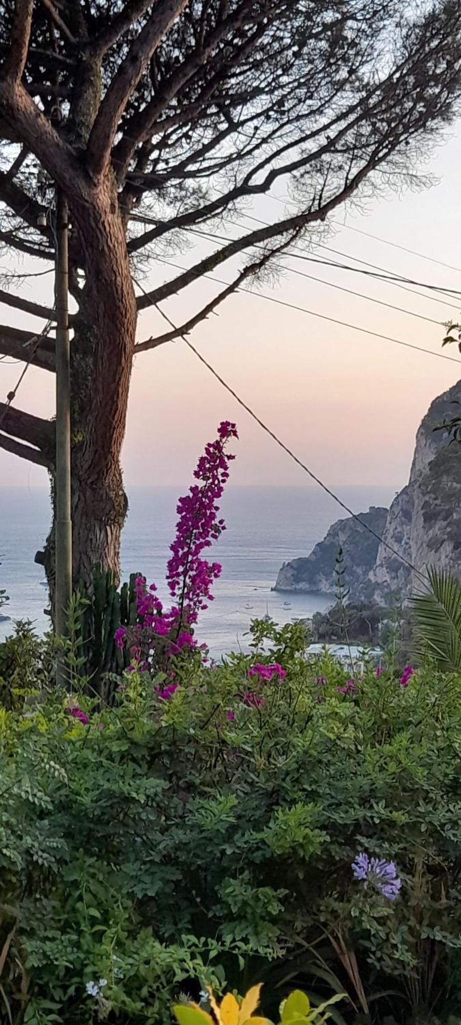Villetta Rosetta Capri Exterior foto